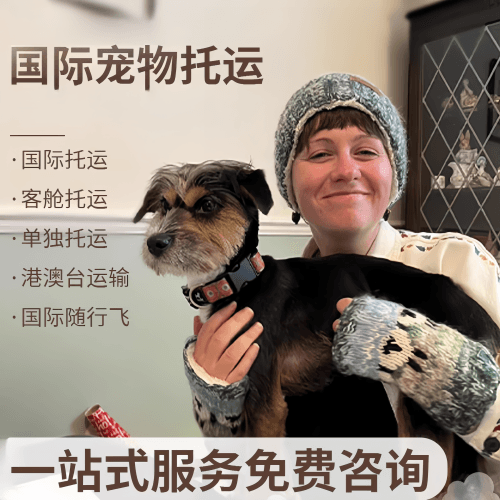 菏泽市国际宠物托运到阿根廷宠物入境规定和要