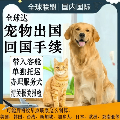 菏泽市宠物托运到柬埔寨宠物入境规定和要求