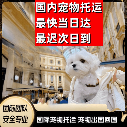 菏泽市到澳大利亚（澳洲）宠物入境规定和要求